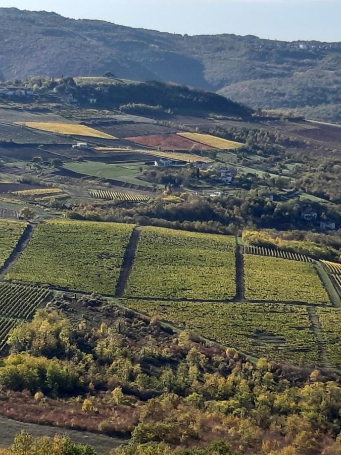 Guesthouse Villa Marija Motovun Exteriér fotografie